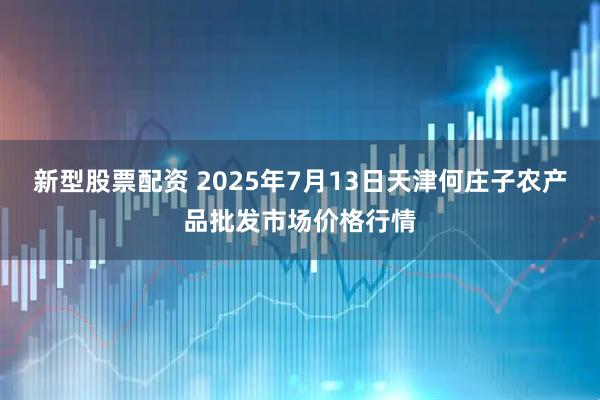 新型股票配资 2025年7月13日天津何庄子农产品批发市场价格行情